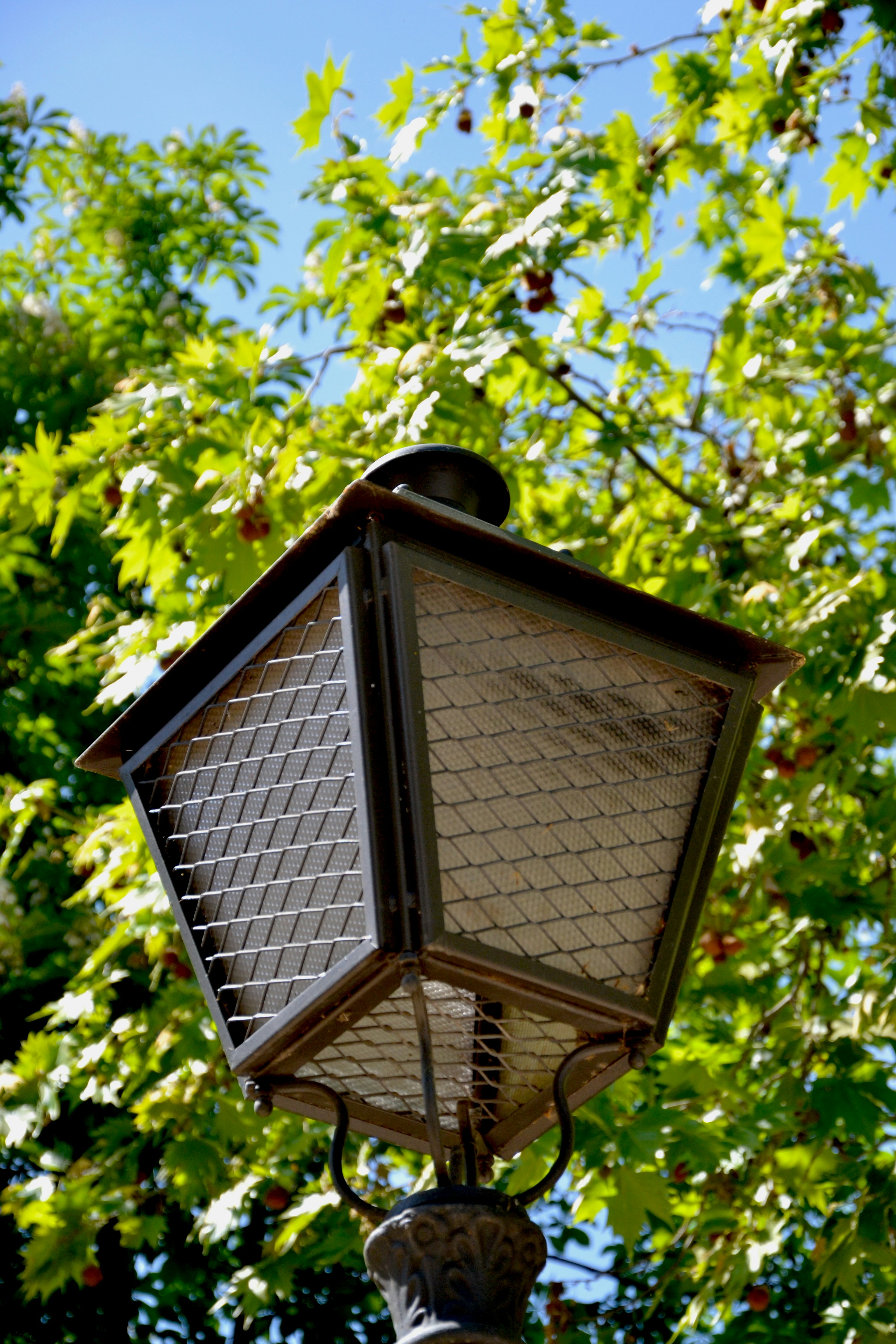 an old fashioned street light in front of a tree