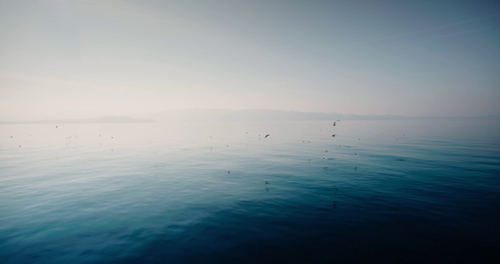 a large body of water with birds flying over it