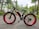 A black electric bicycle with large, wide tires and red wheel rims is parked on a paved path. The bike is labeled with 'VOLTEBYK' on the frame. It is surrounded by a lush, green park with trees and vegetation, and a backdrop of distant buildings and hills under an overcast sky.