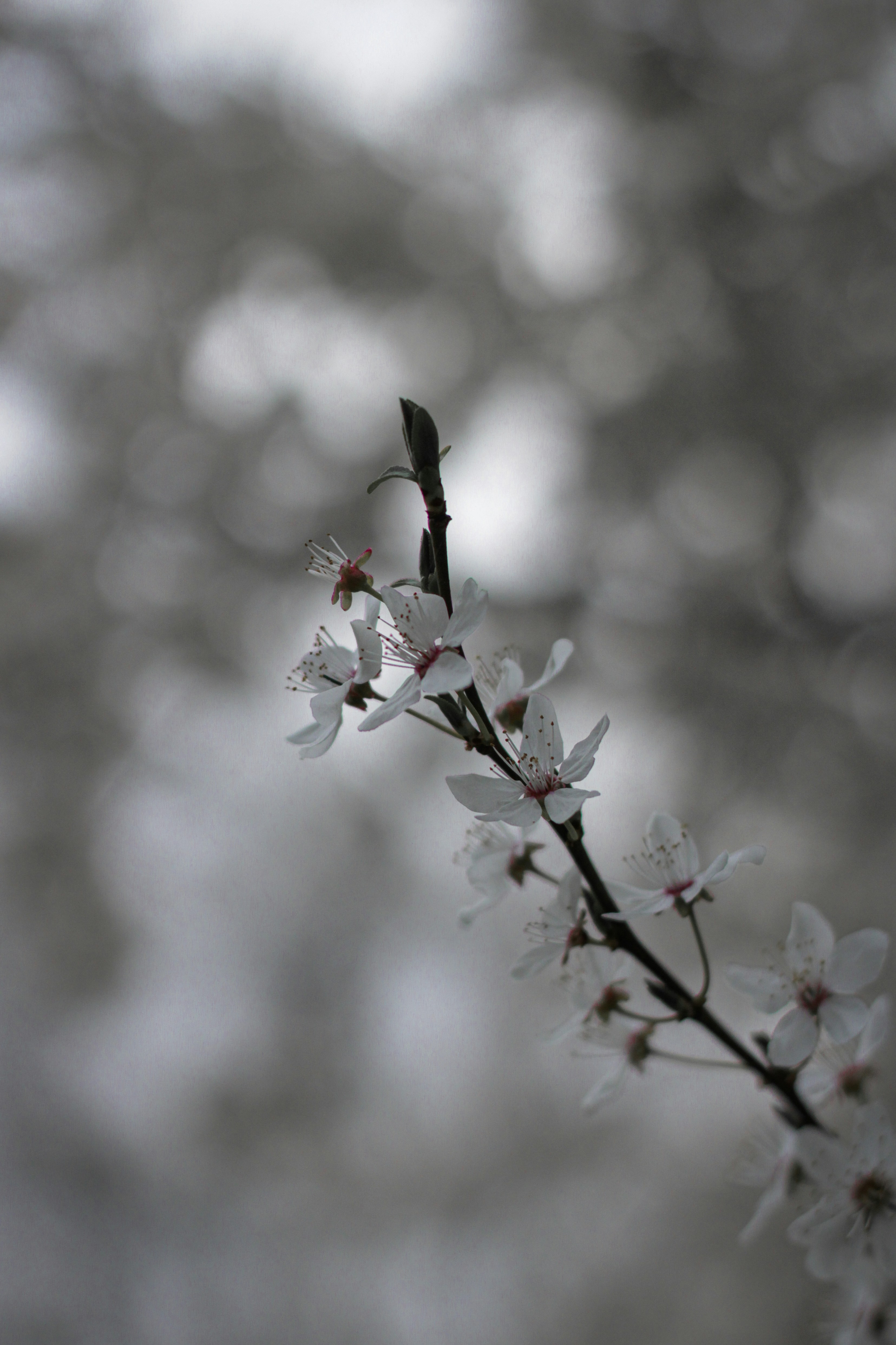 Photo by szymonek_wierzcholek