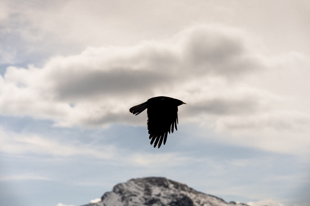 a large bird flying over a mountain under a cloudy sky