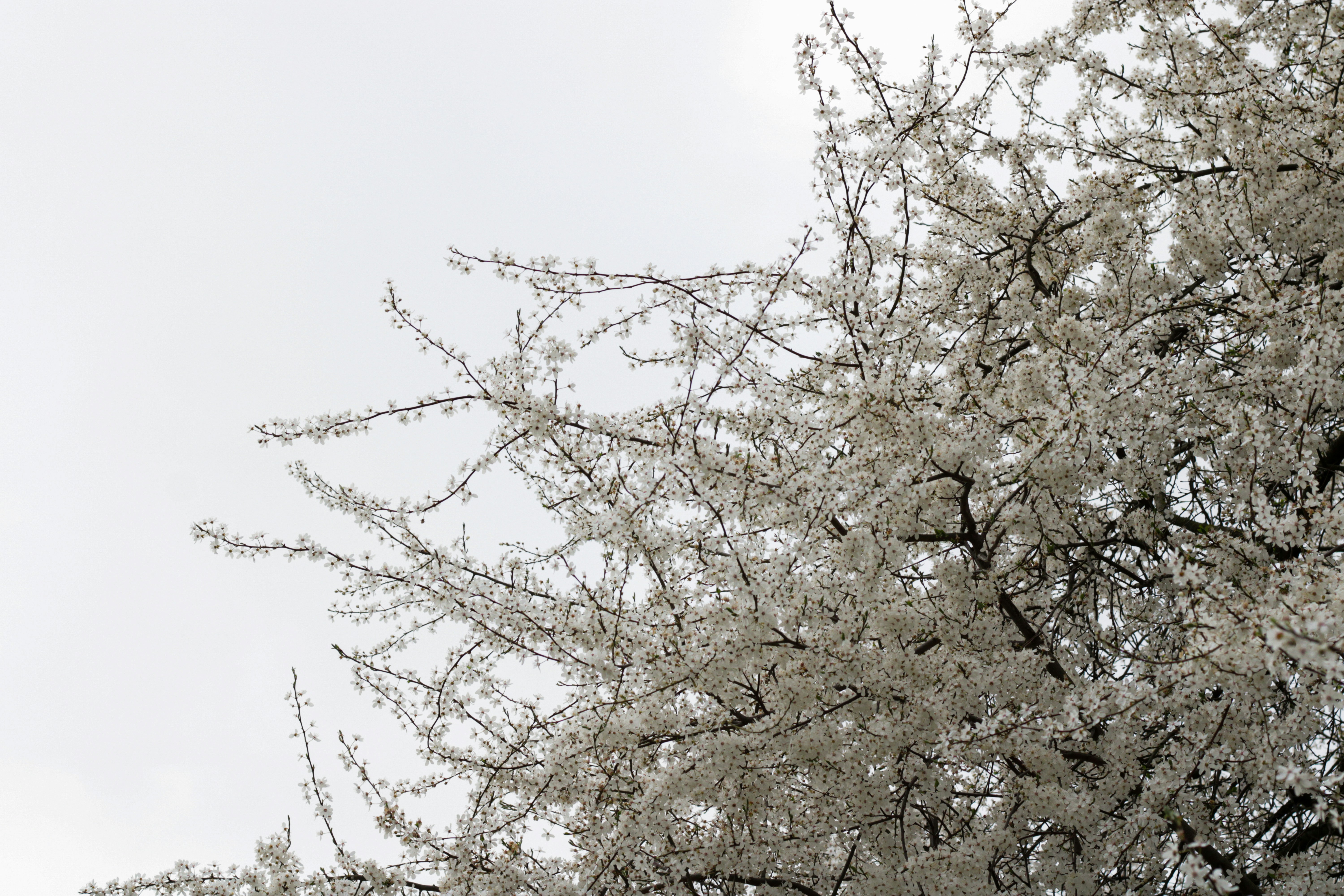 Photo by szymonek_wierzcholek