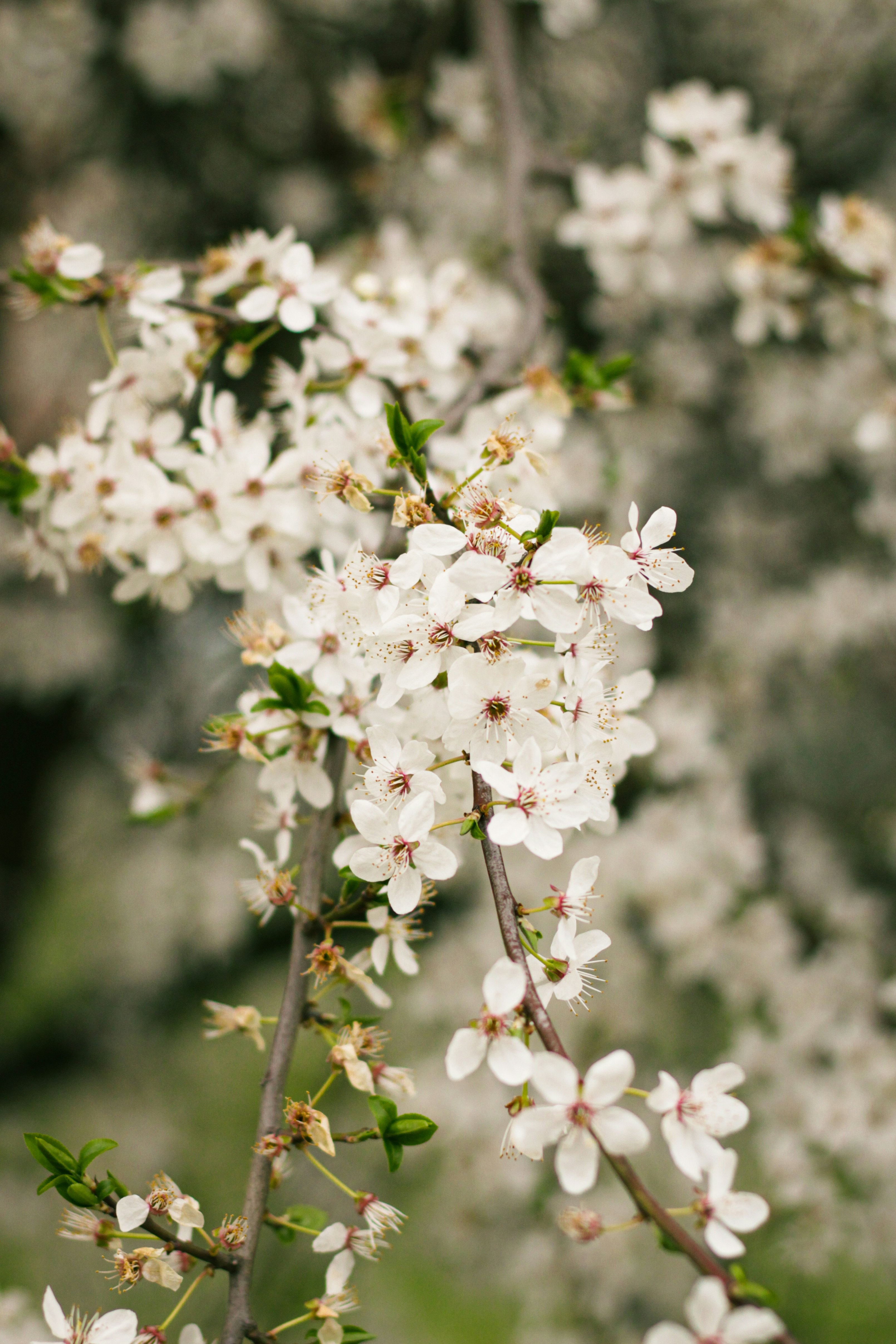 Photo by szymonek_wierzcholek