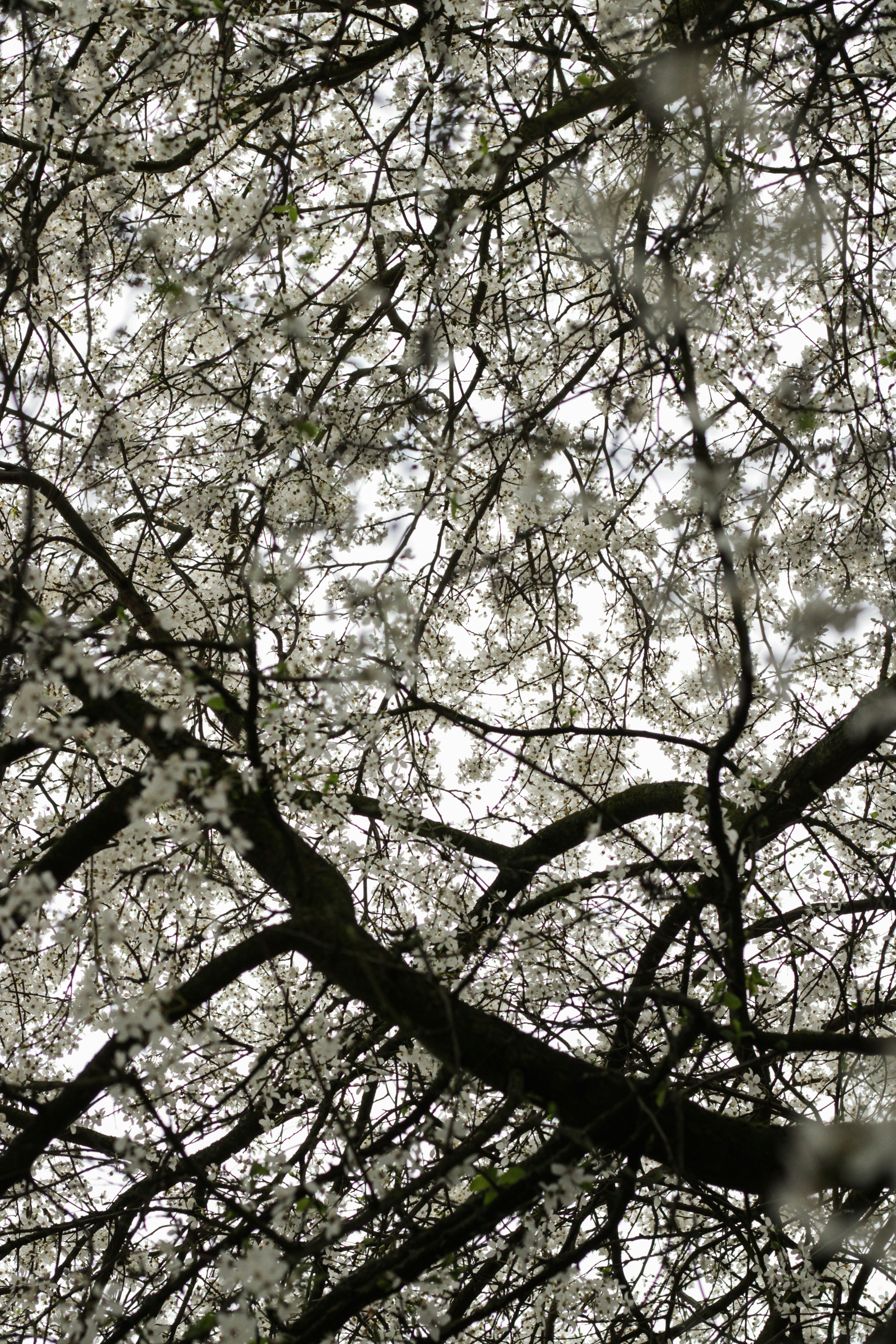 Photo by szymonek_wierzcholek