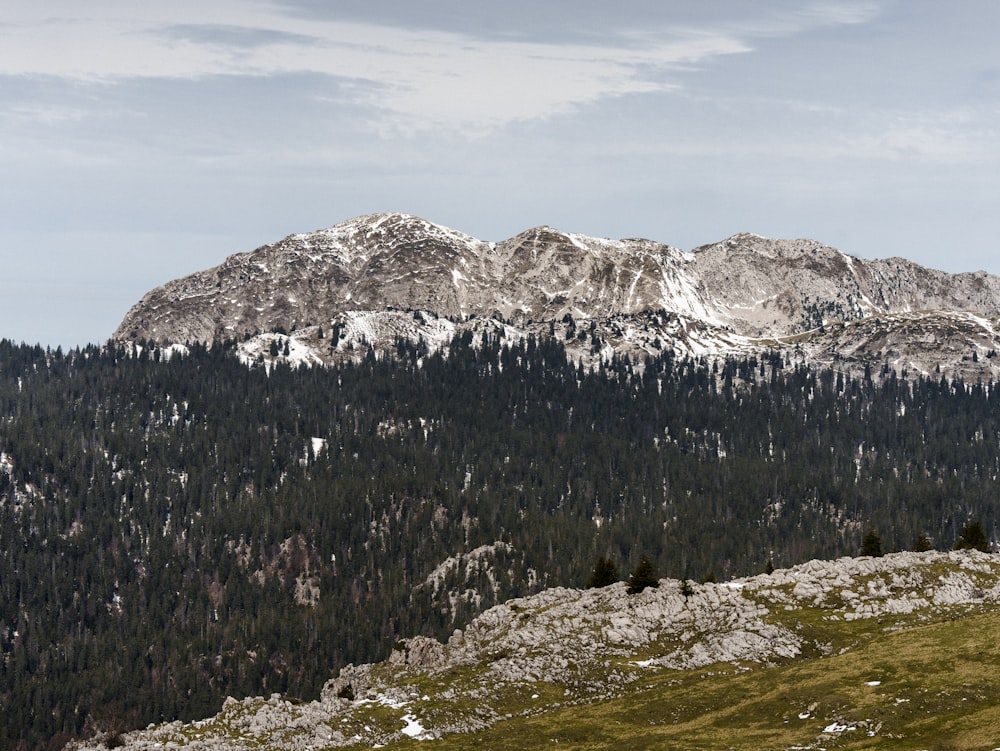 a view of a mountain range with a few trees