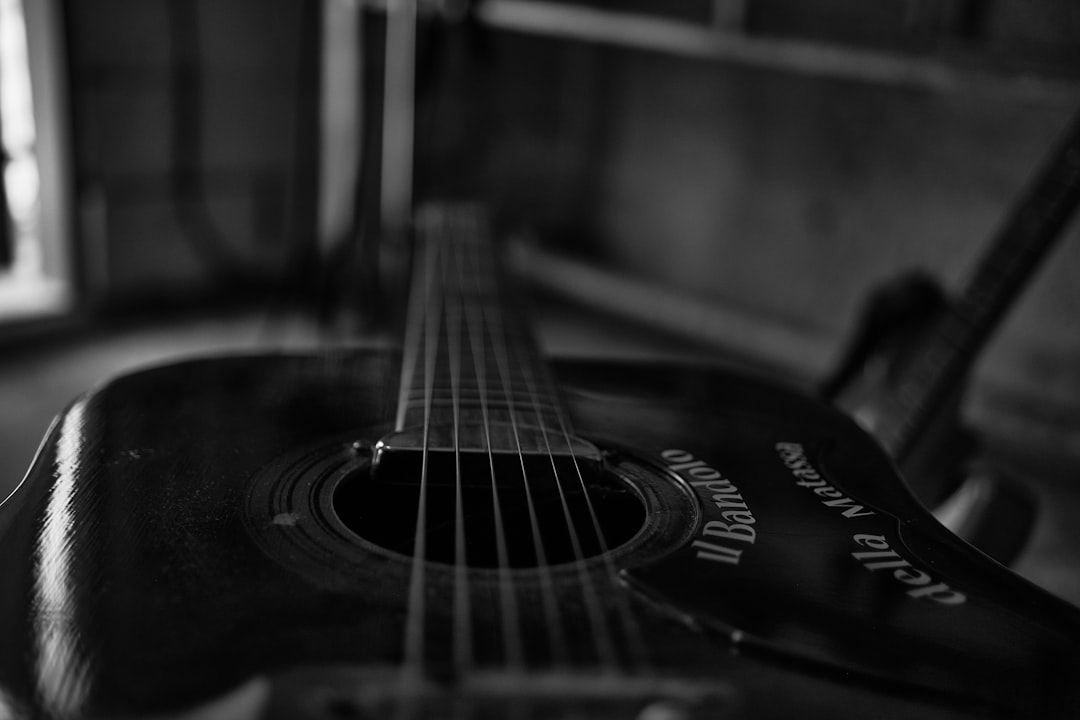 a black and white photo of a guitar,