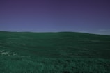 A wide open plot of green rolling hills under a bright blue sky.