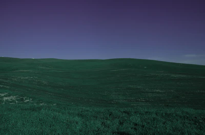 Greenfield site with rolling hills and open sky, ready for development.
