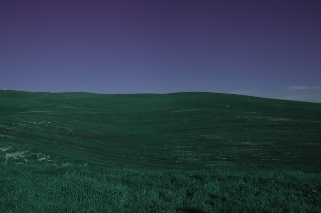 A wide open plot of green rolling hills under a bright blue sky.
