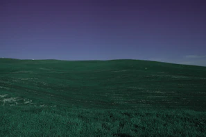 A wide shot of rolling green hills under a bright blue sky.