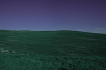 A wide expanse of rolling green hills under a deep blue sky, showcasing an open and natural landscape.