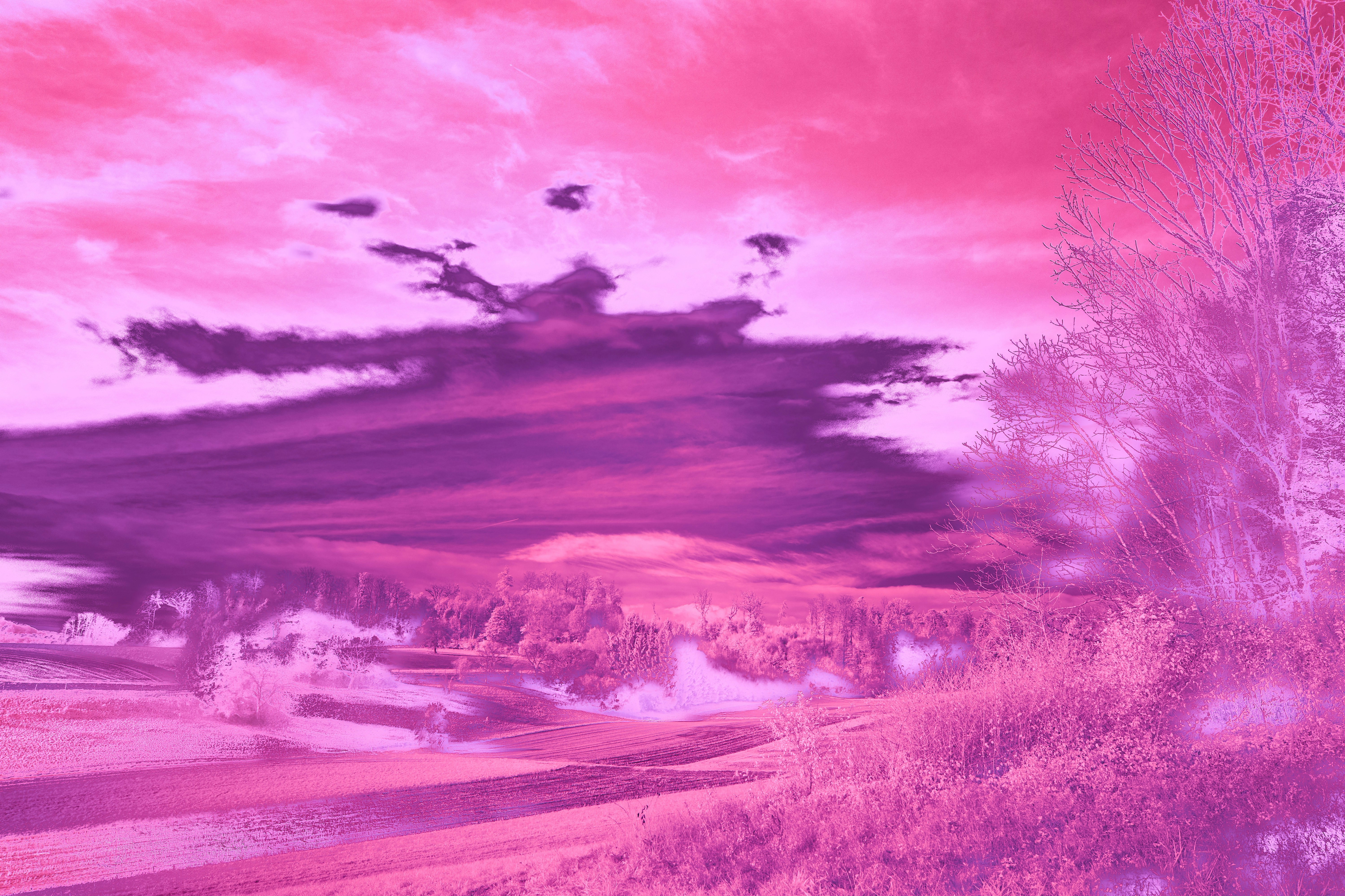 Creative Photo Presets