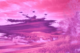 A user-uploaded landscape photo transformed with AI agent to highlight new perspectives