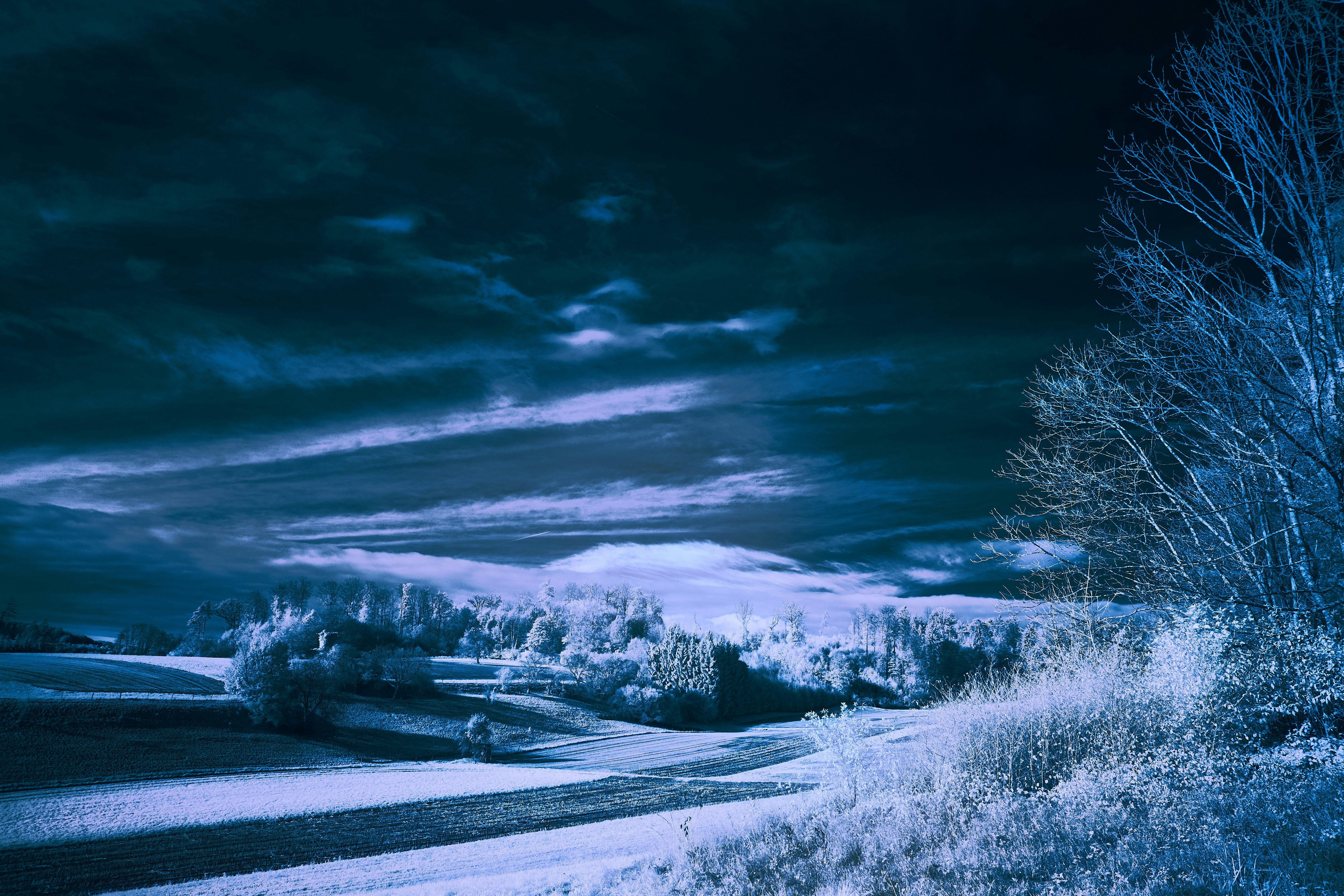 Photo by wolfgang_hasselmann