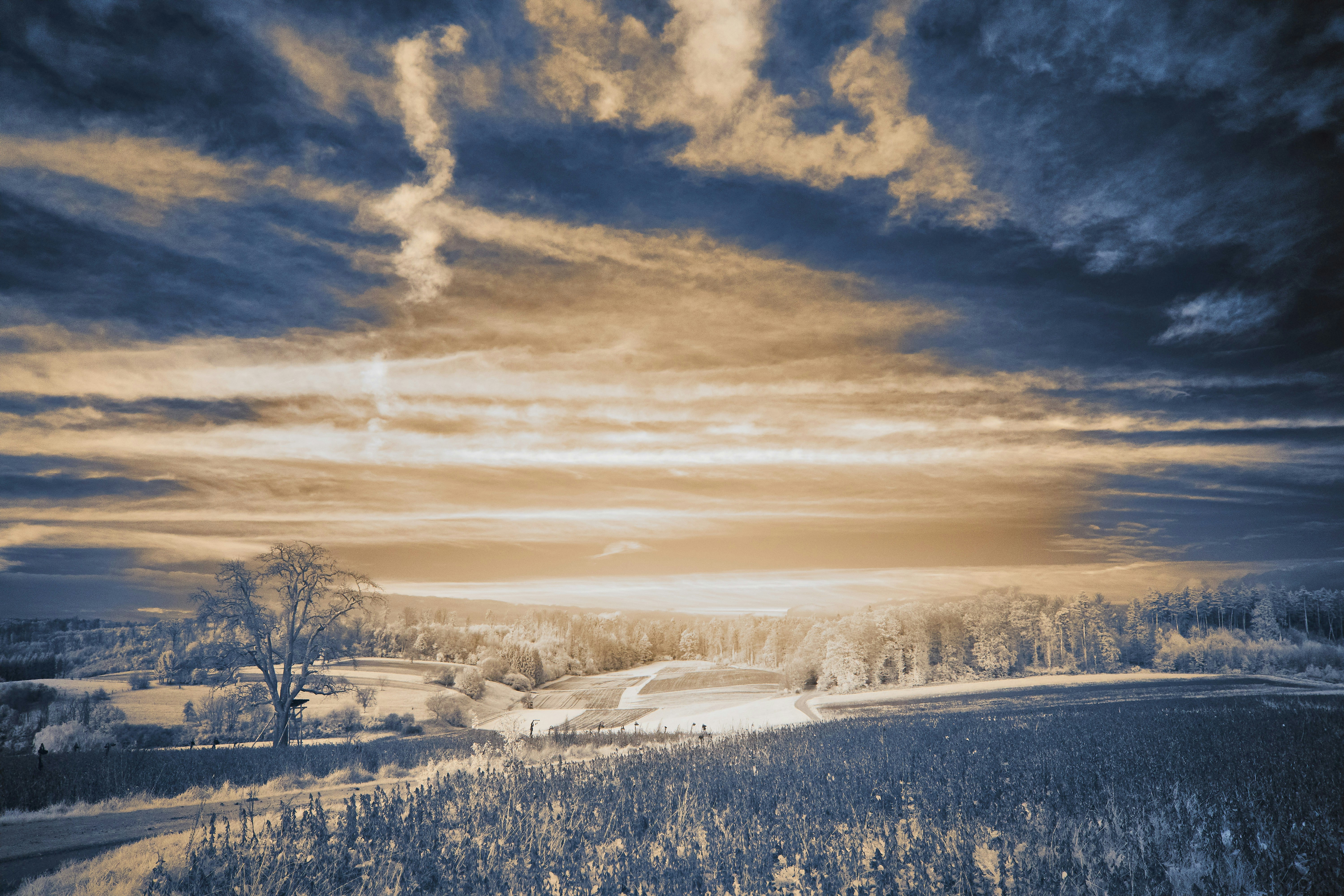 Photo by wolfgang_hasselmann