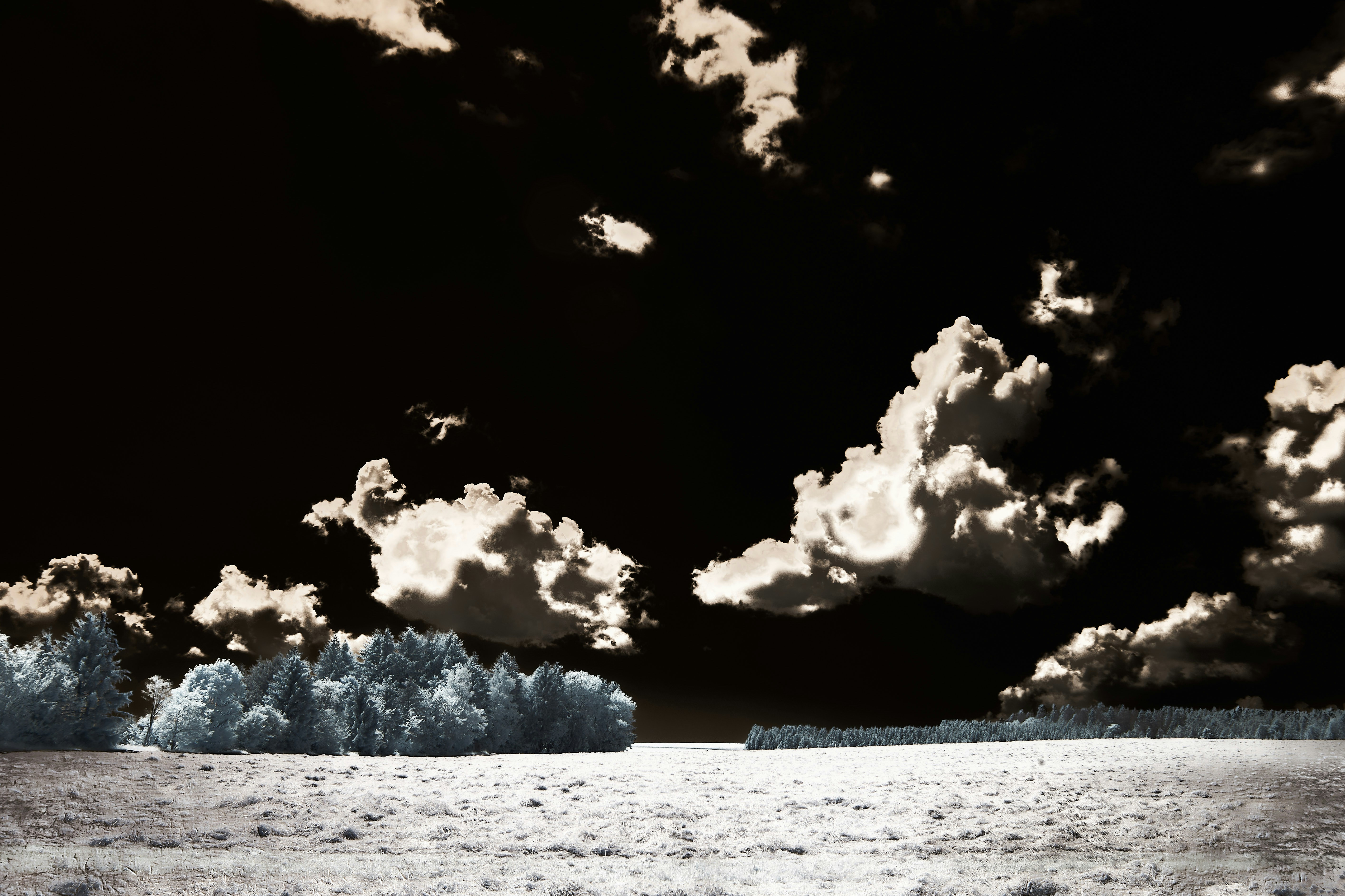 Photo by wolfgang_hasselmann