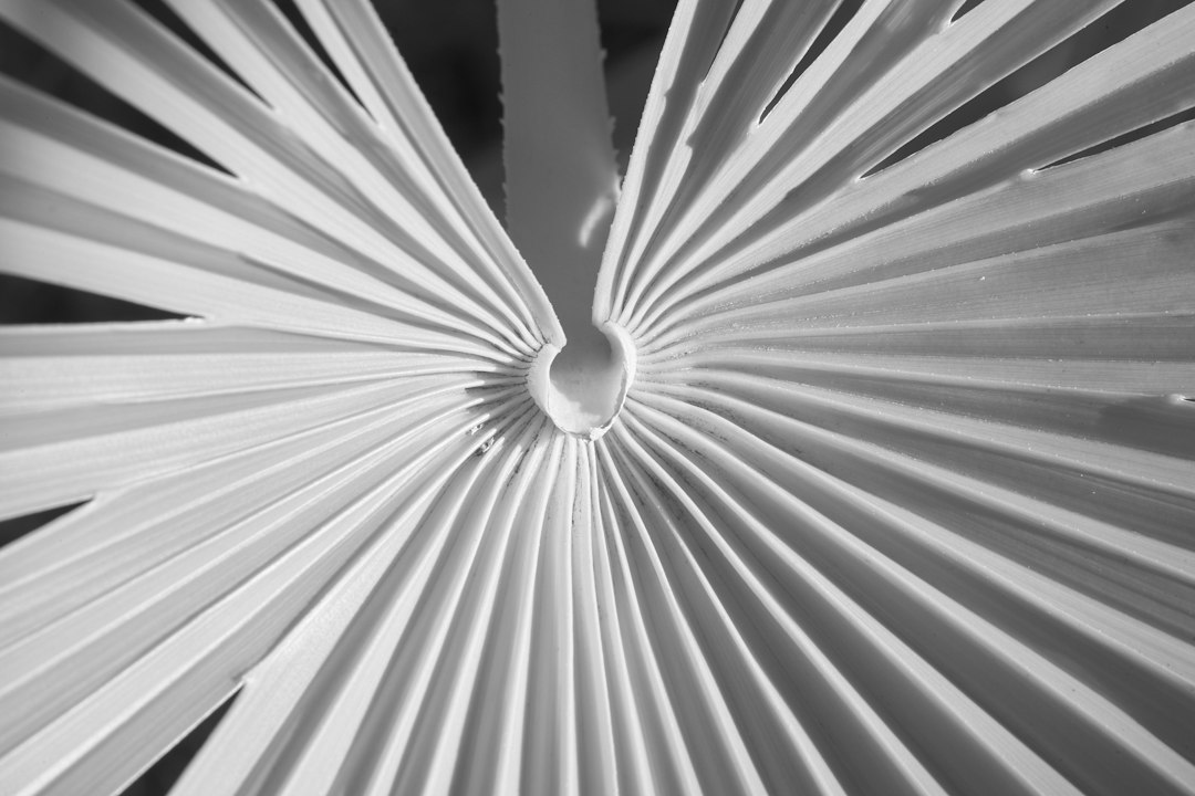 ceiling fan closeup