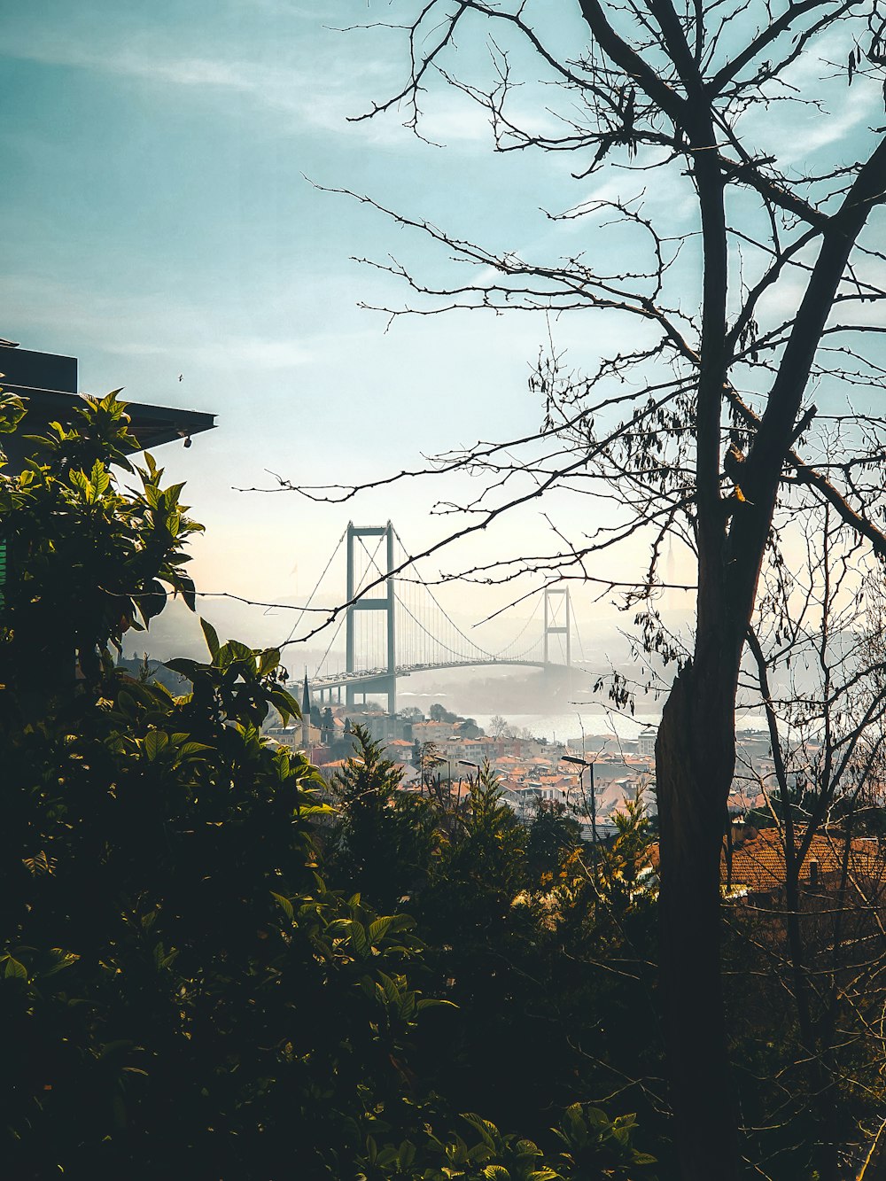 a view of a bridge from behind some trees