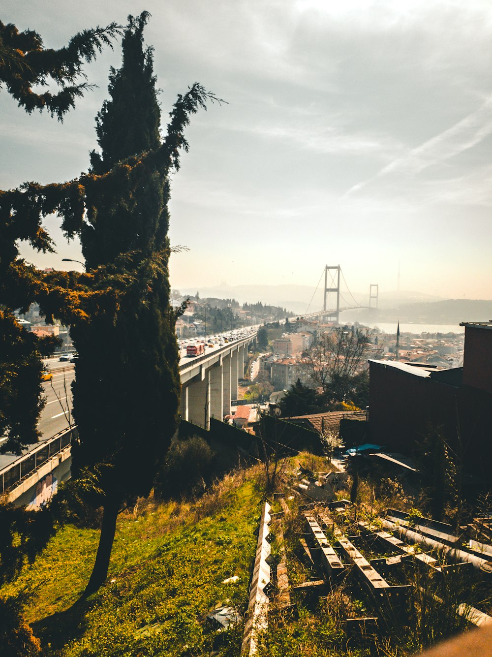 a view of a bridge from a hill