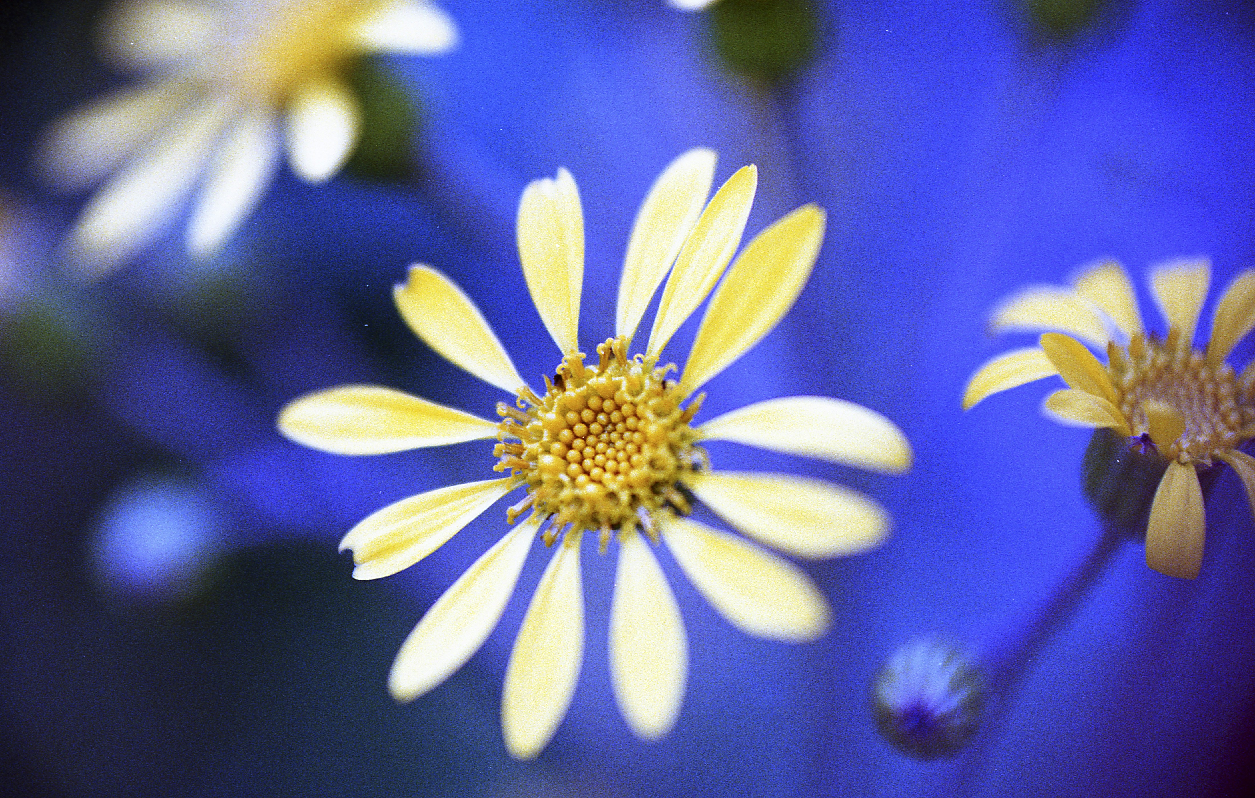 Photo by matthewraymatlock