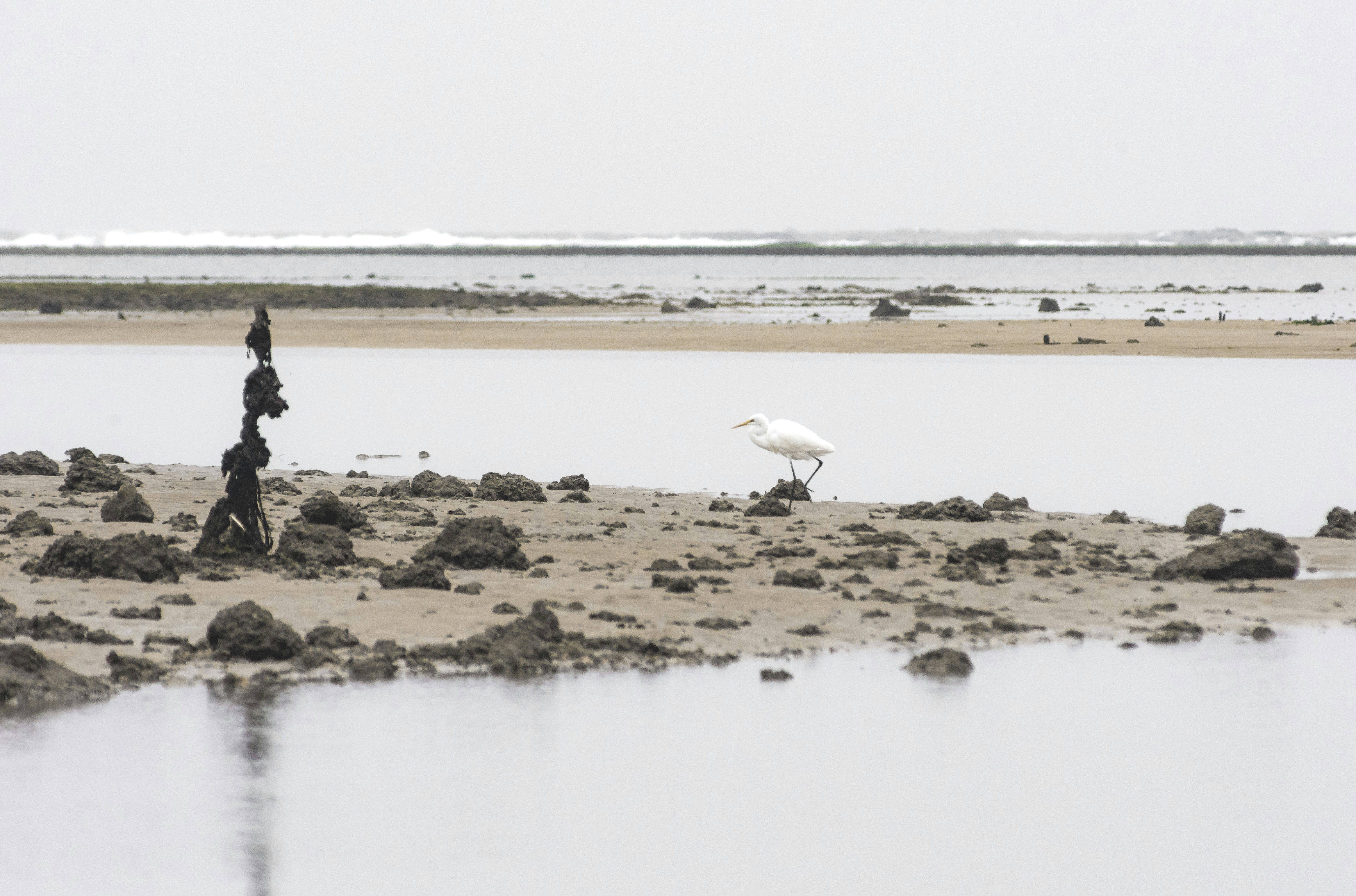 Photo by matthewraymatlock