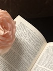 an open book with a pink flower on top of it