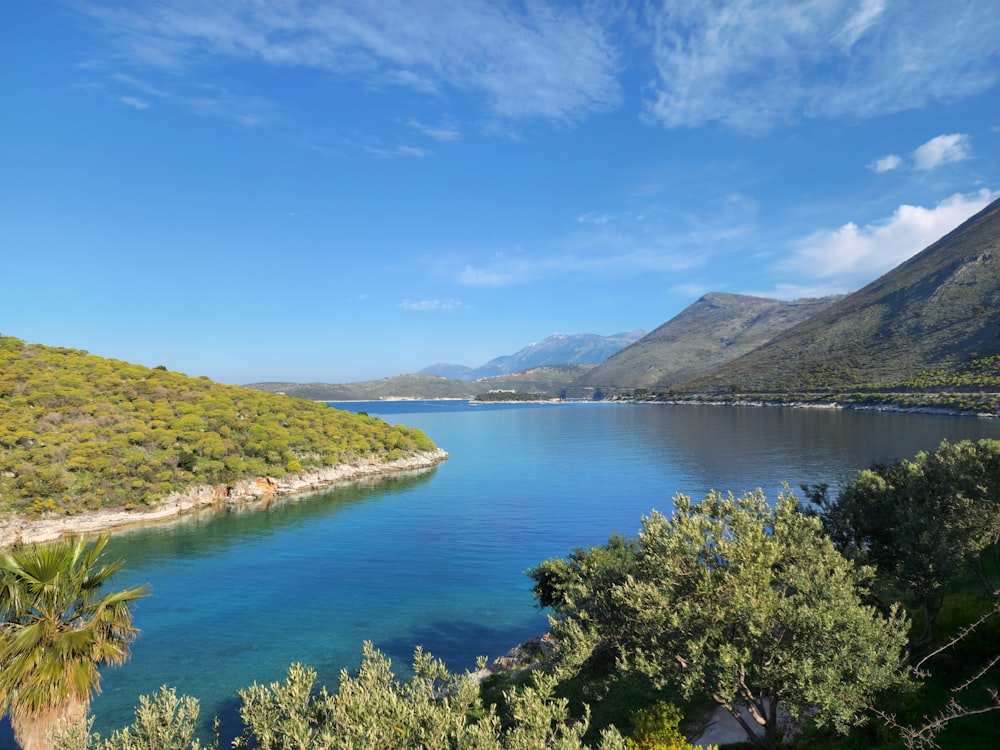 a body of water surrounded by trees and mountains