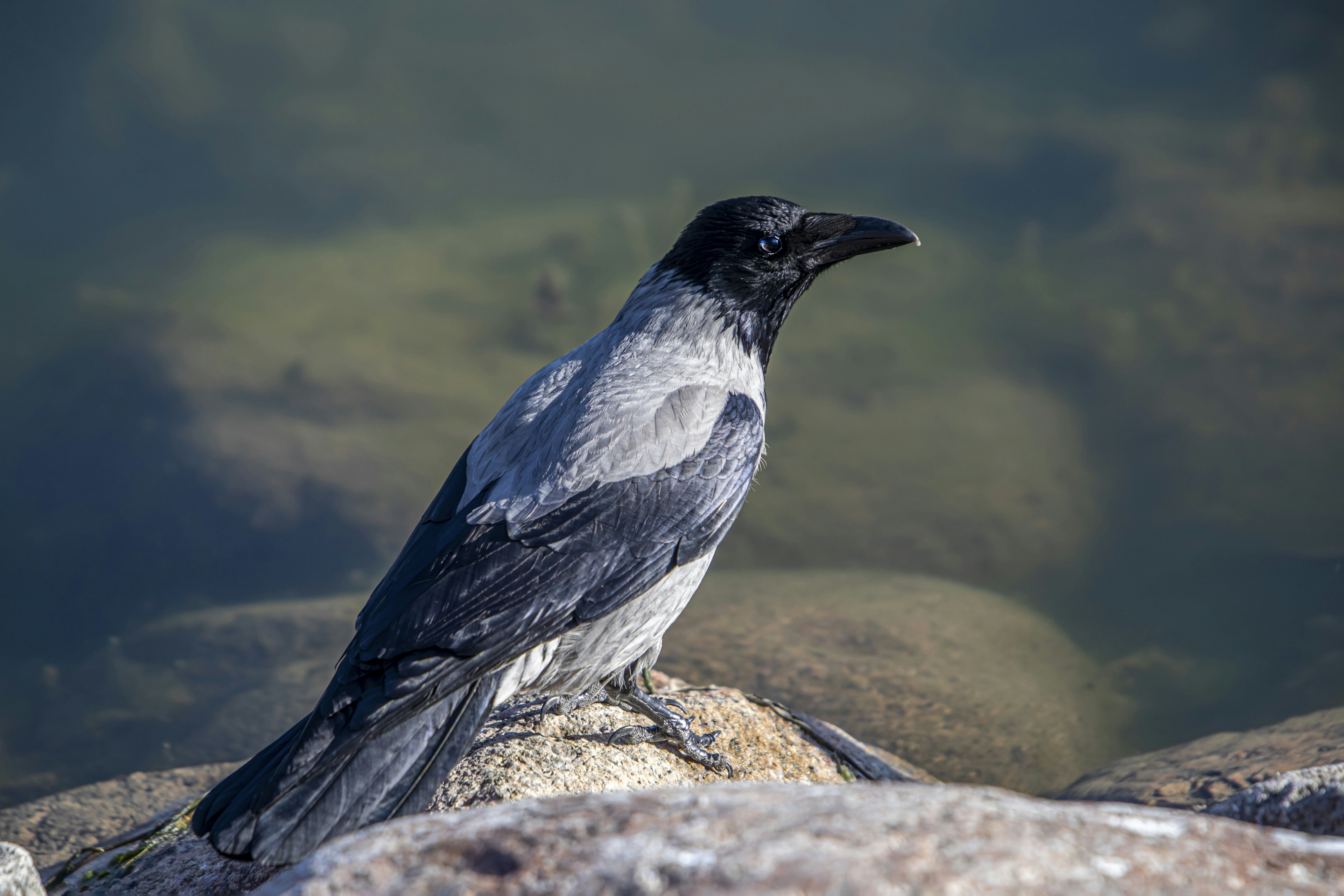 Photo by erik_karits