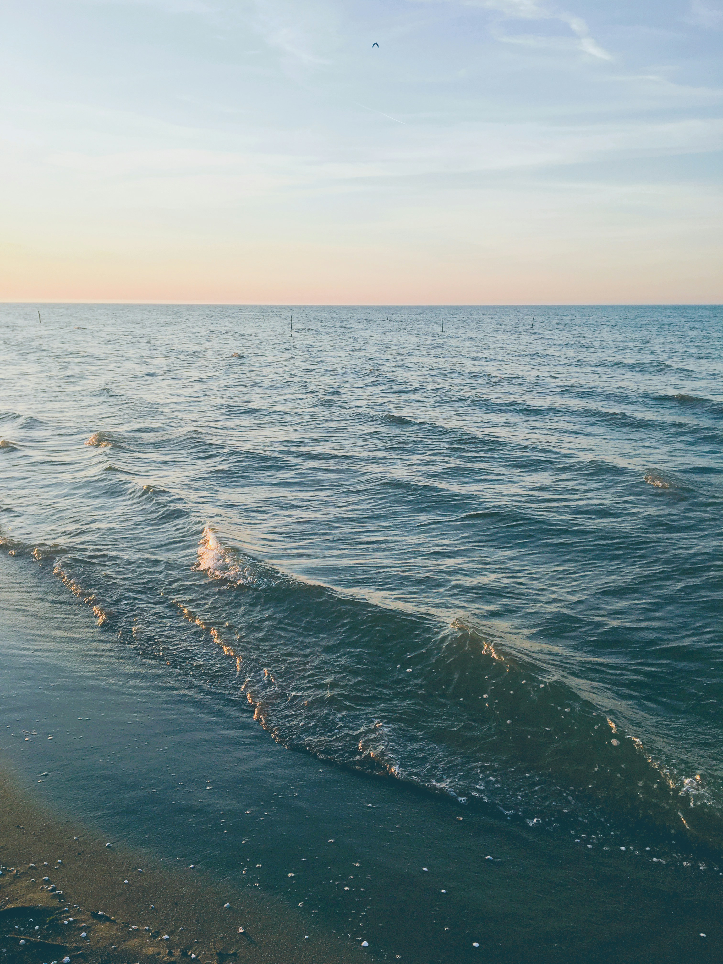 Photo by mesbahzadeh