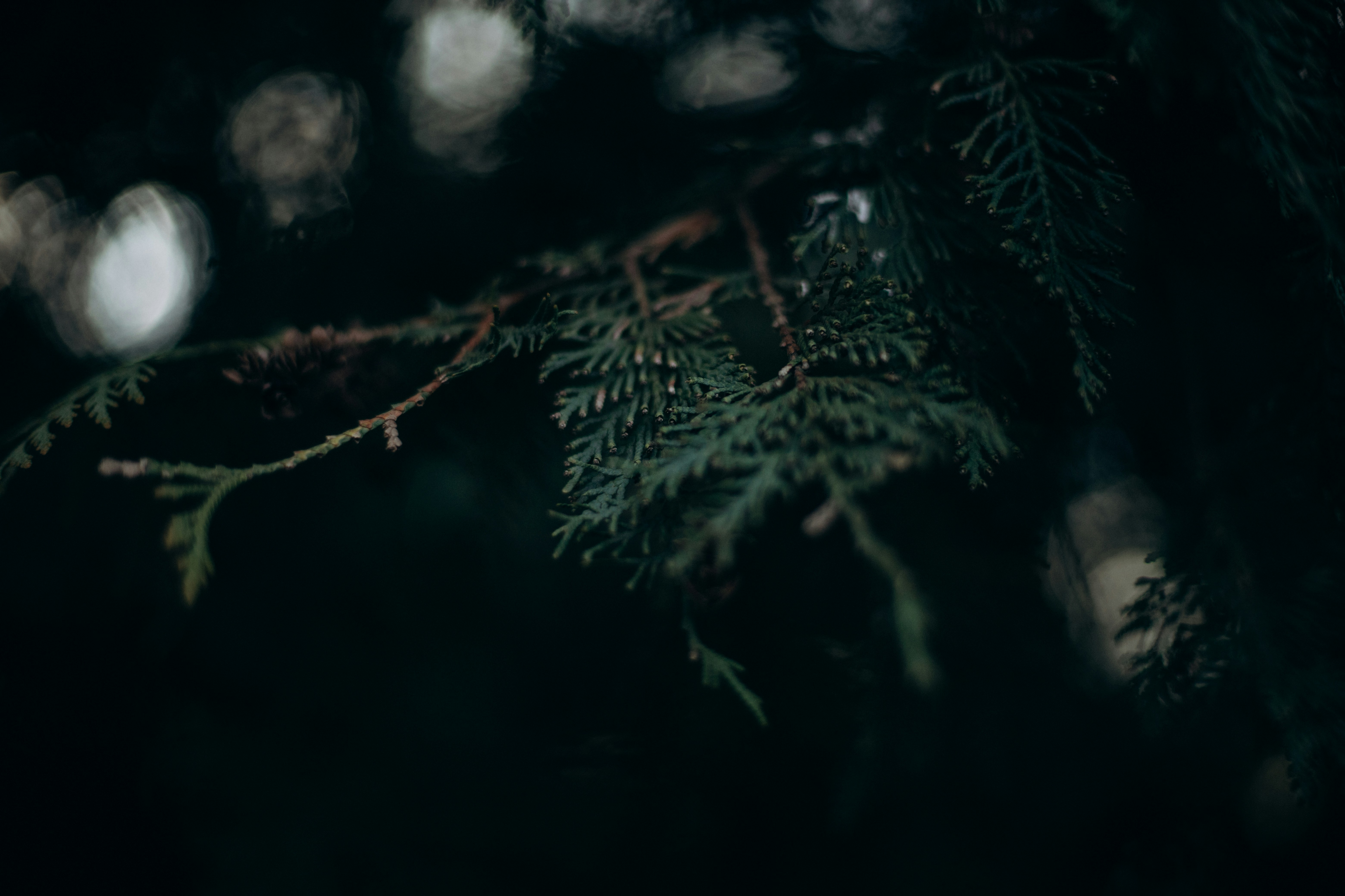 Photo by yarossvit_prod