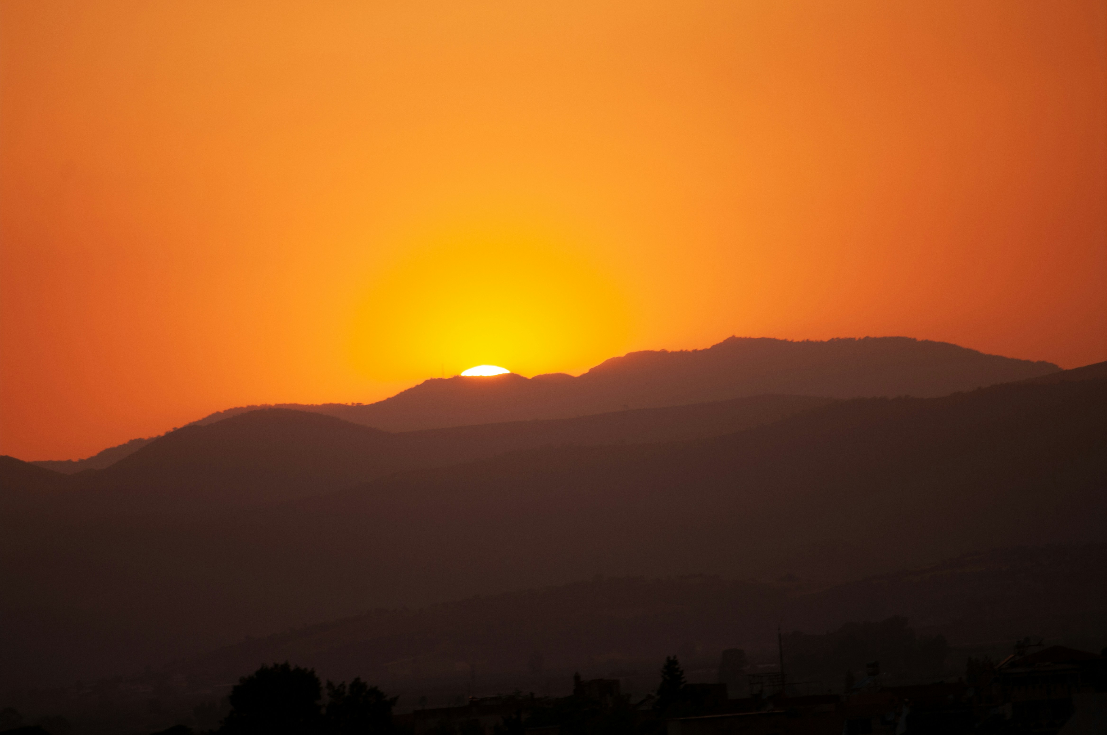 Photo by liligancephotography