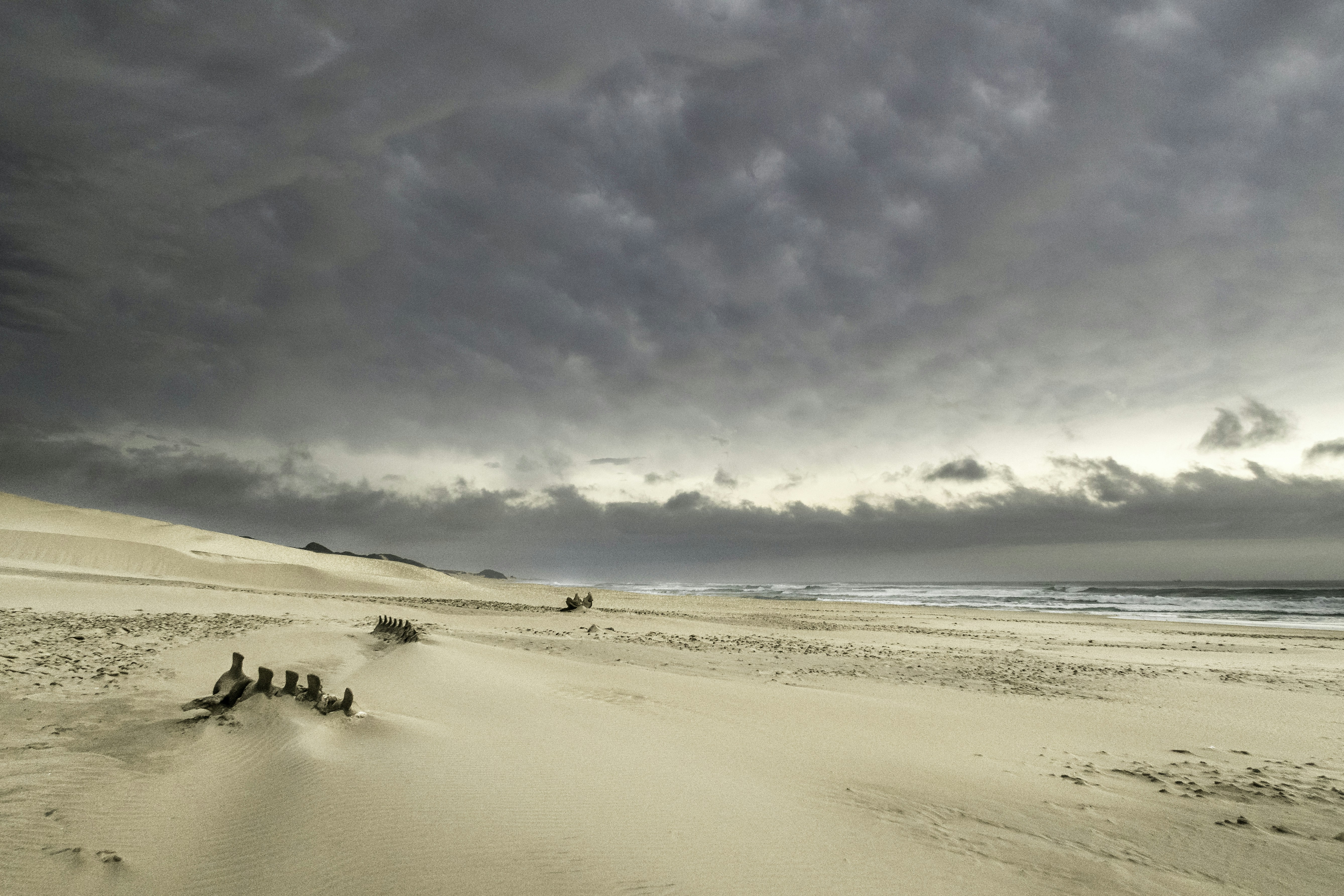 a group of people standing on top of a sandy beach