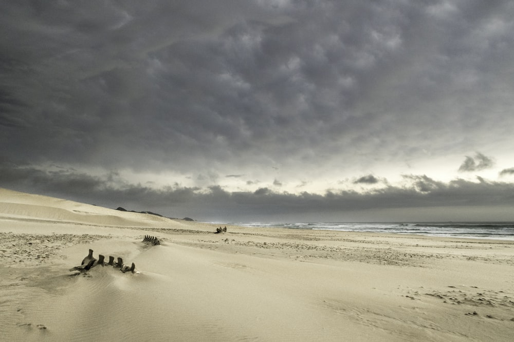 un groupe de personnes debout au sommet d’une plage de sable