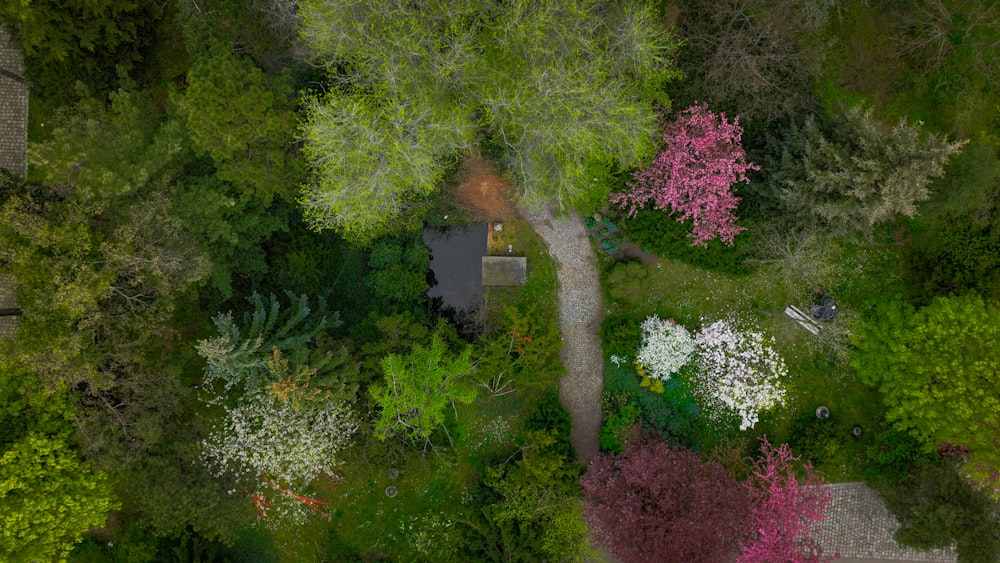 a bird's eye view of a lush green forest