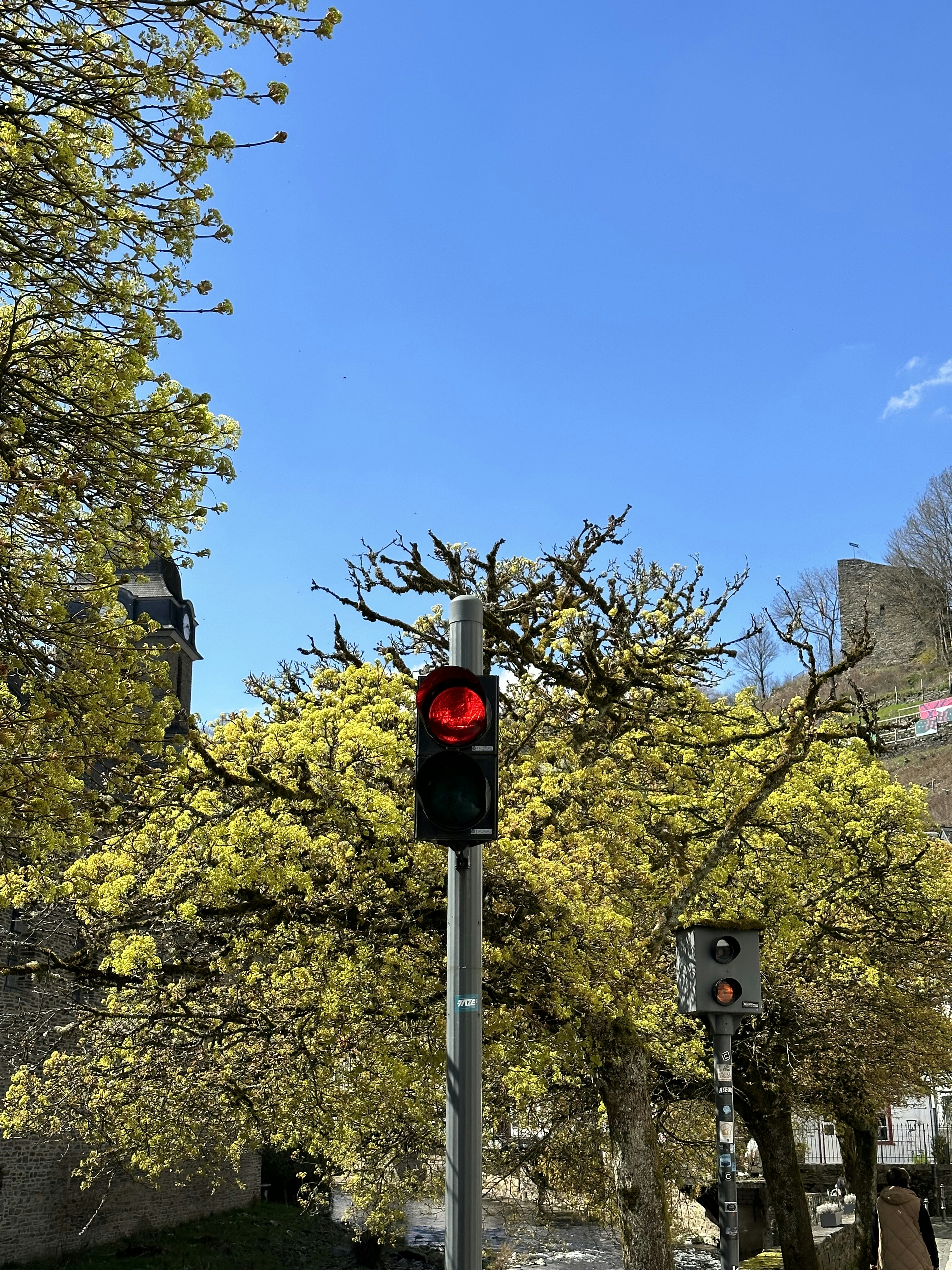 a red traffic light sitting next to a tree
