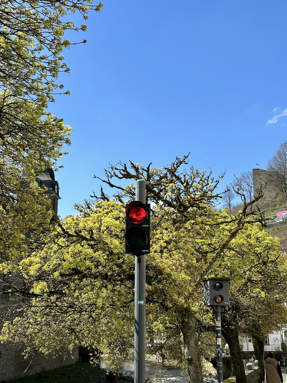 um semáforo vermelho sentado ao lado de uma árvore