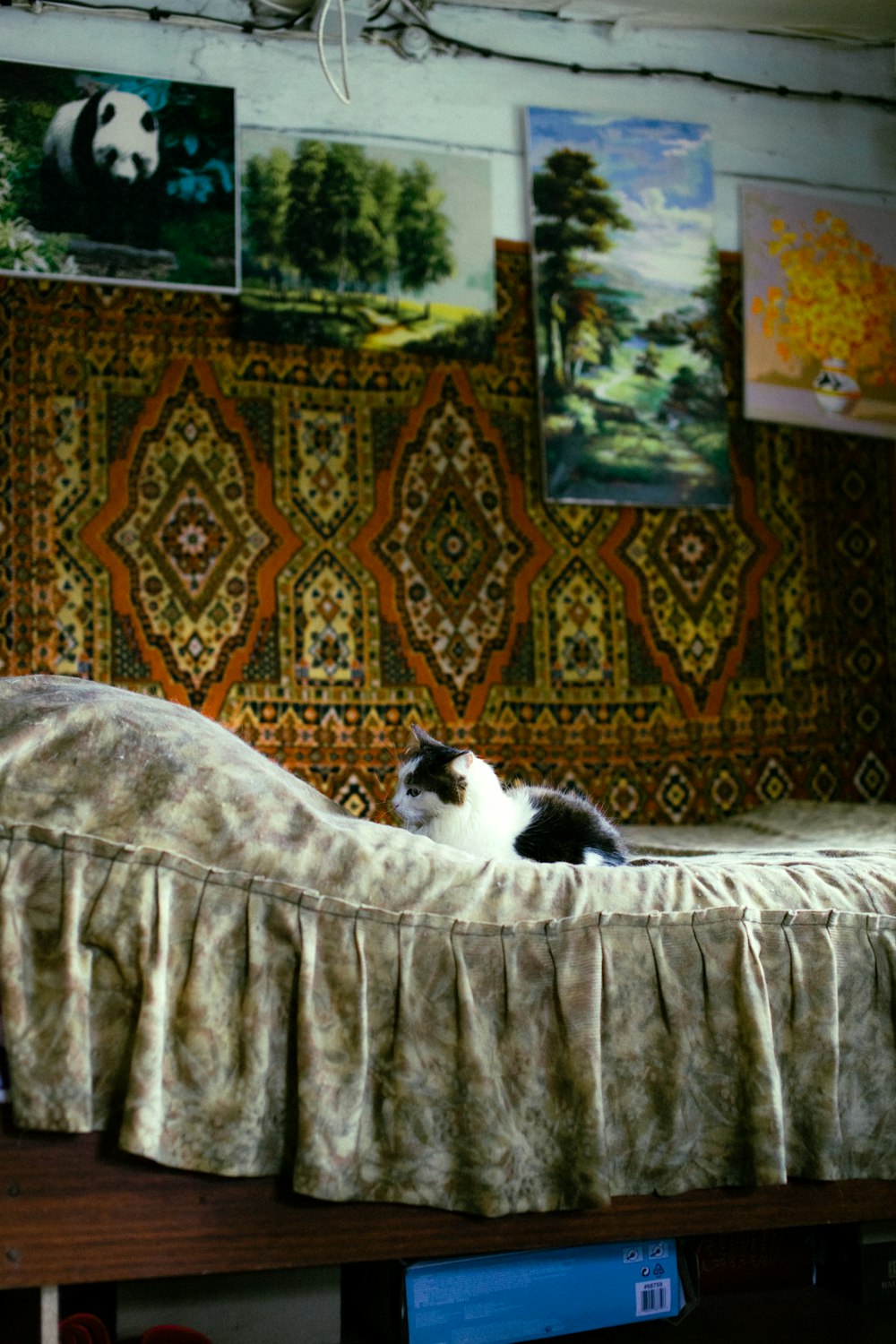 a black and white cat laying on top of a bed