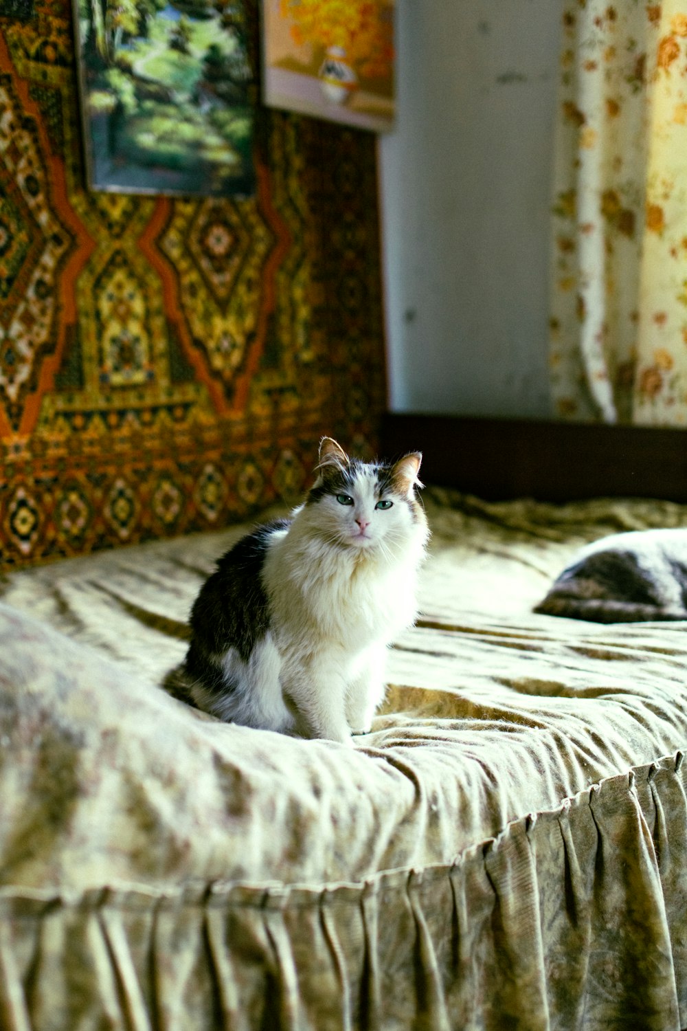 two cats sitting on a bed in a room