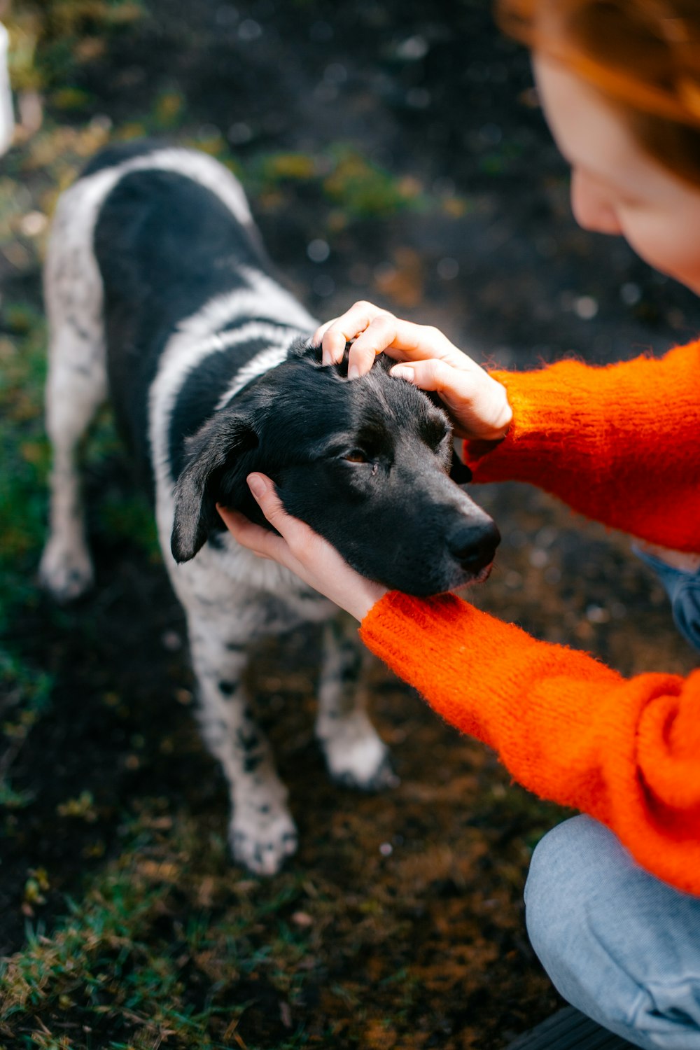 a woman is petting a black and white dog