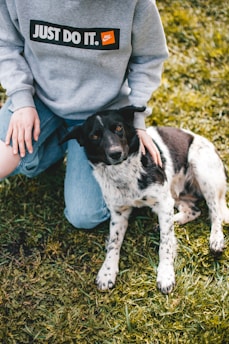 A person wearing a gray sweatshirt with a 'Just Do It' logo is petting a black and white dog sitting on a grassy lawn. The person is wearing light blue jeans and their hand rests on the dog's back. The dog appears relaxed and content.