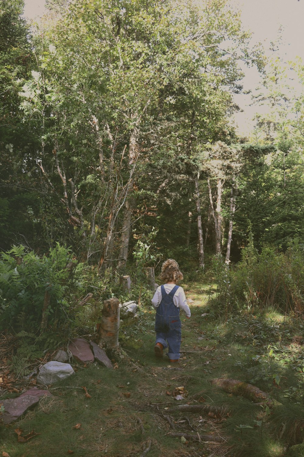 a little boy that is standing in the grass