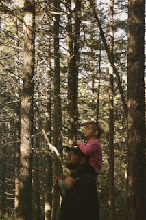 A man wearing a cap carries a young child on his shoulders as they walk through a dense forest. Sunlight filters through the tall trees, casting dappled shadows on the ground. The child appears to be enjoying the view, while holding a stuffed animal.