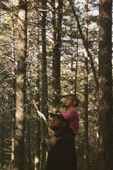 A man wearing a cap carries a young child on his shoulders as they walk through a dense forest. Sunlight filters through the tall trees, casting dappled shadows on the ground. The child appears to be enjoying the view, while holding a stuffed animal.