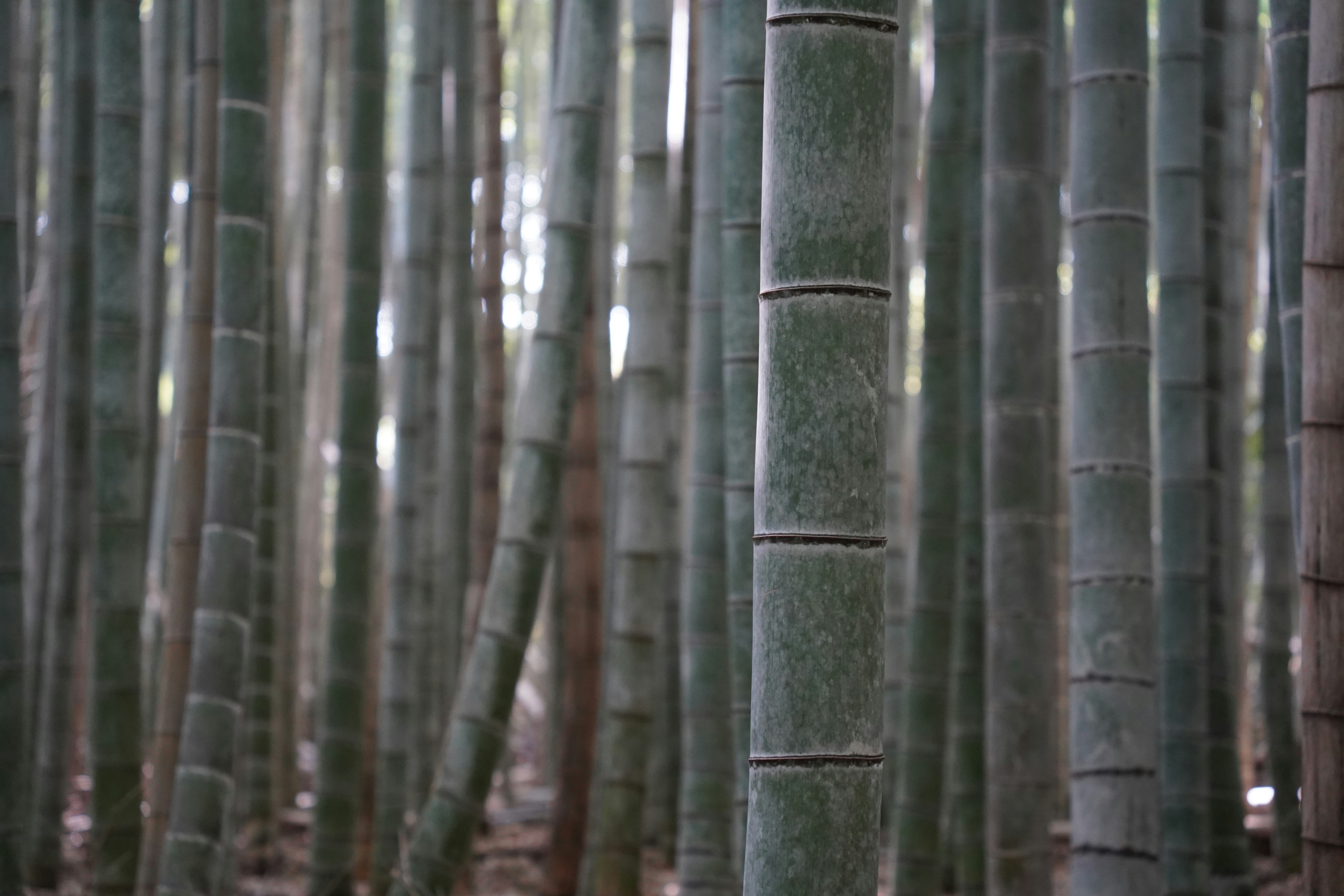 Photo by shpetimujkani