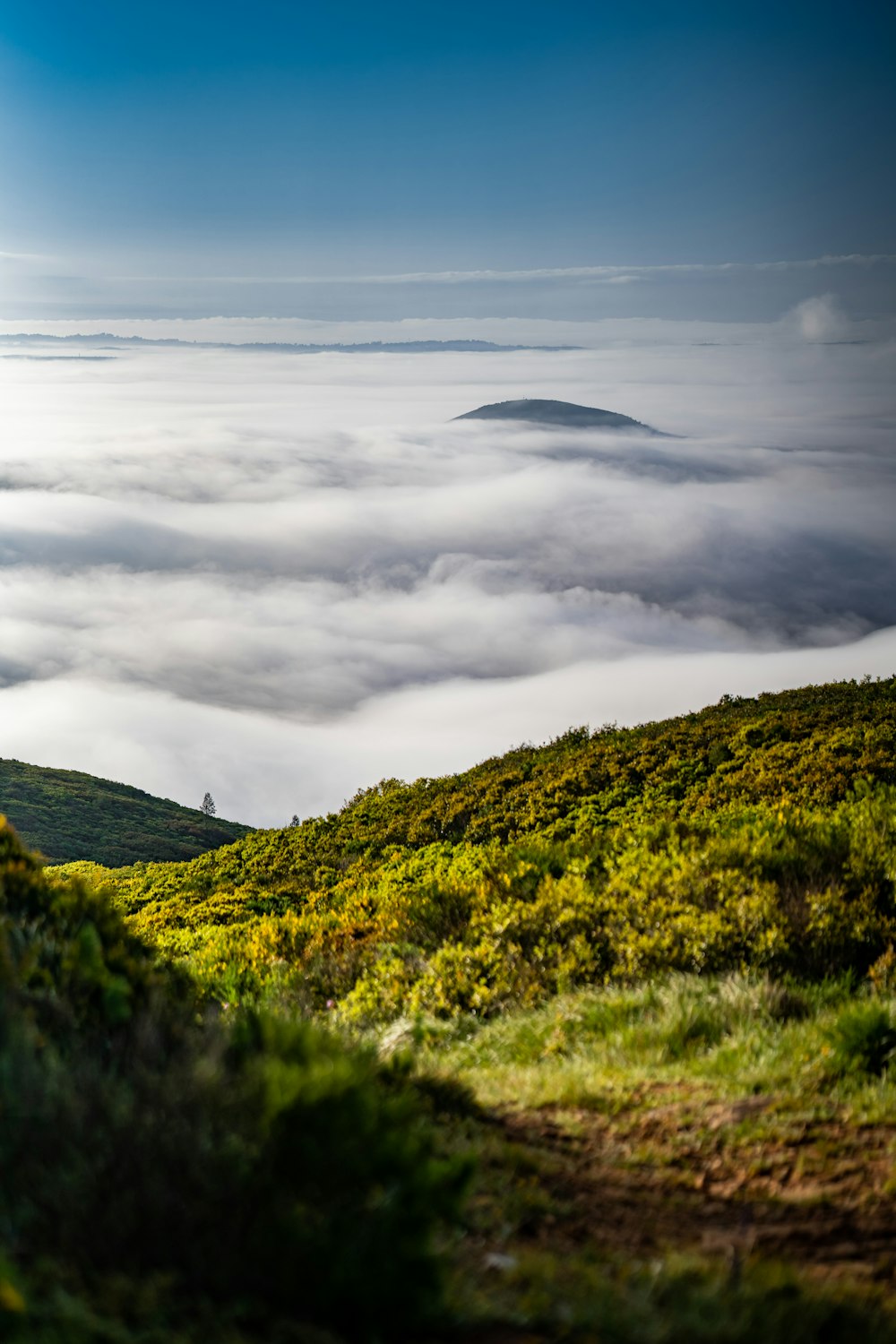 a view of a hill covered in low lying clouds