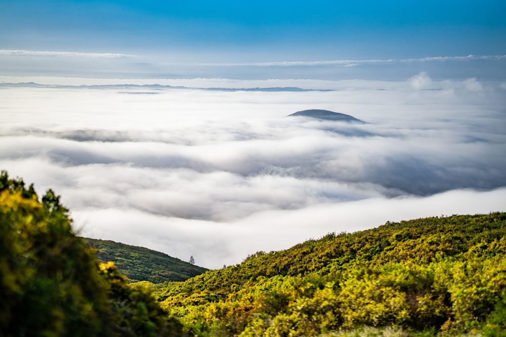 a view of a mountain covered in low lying clouds