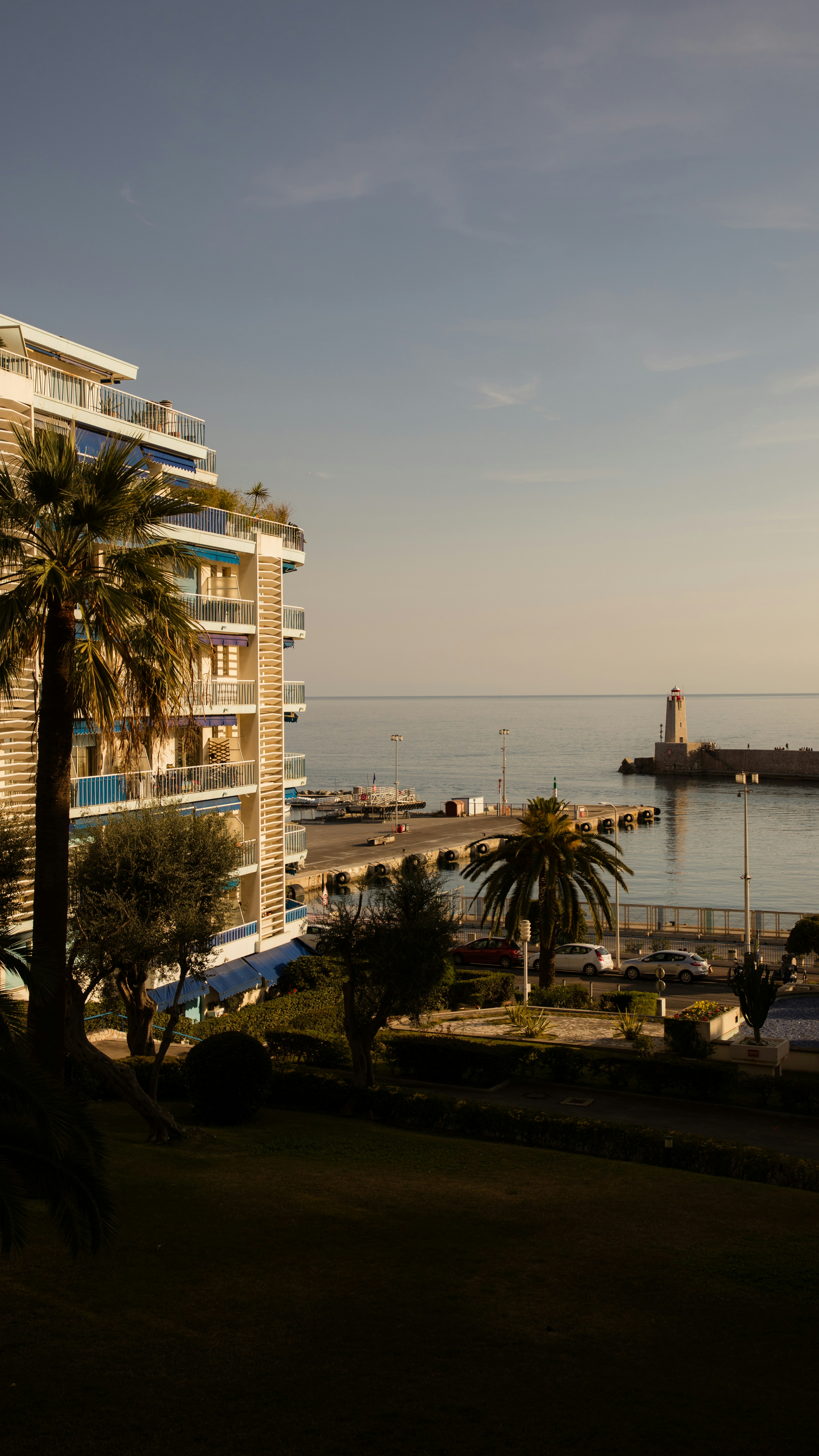 Photo by jovanvasiljevic