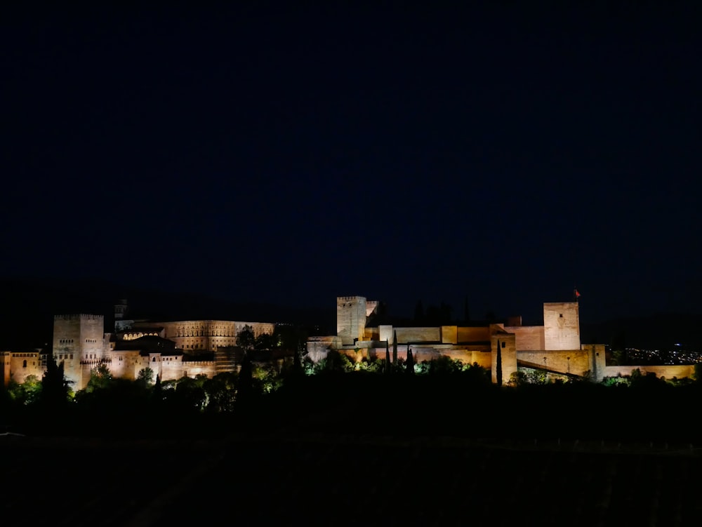 a night view of a city with a castle in the background