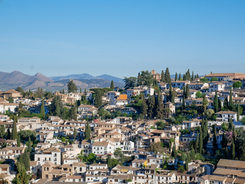 a view of a city with mountains in the background