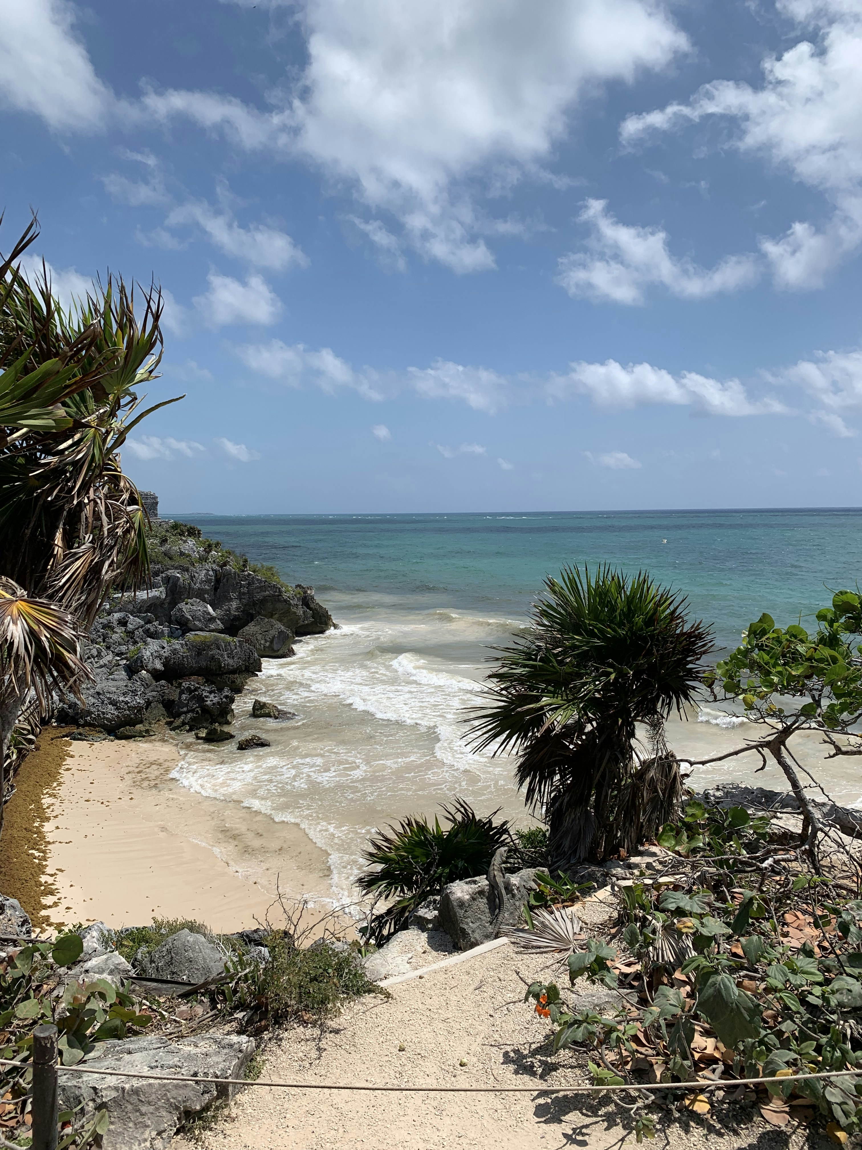 Photo by champagnepapi13